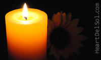 My Digital-photo: Candle & Flower